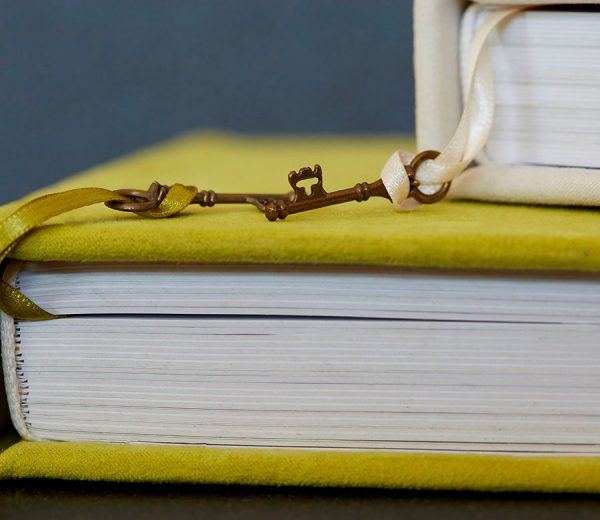 PHOTOBOOK BY HOMERO ALEMAN PHOTOGRAPHY - WEDDING BOOKS - PORTRAIT BOOKS - MODEL BOOKS - WEDDING ALBUM